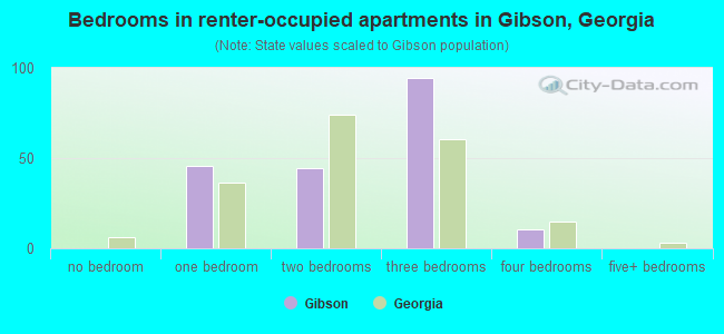 Bedrooms in renter-occupied apartments in Gibson, Georgia