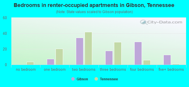 Bedrooms in renter-occupied apartments in Gibson, Tennessee