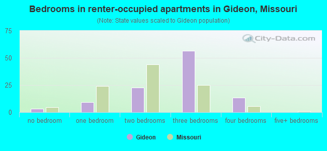 Bedrooms in renter-occupied apartments in Gideon, Missouri