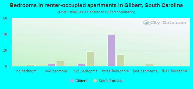 Bedrooms in renter-occupied apartments in Gilbert, South Carolina