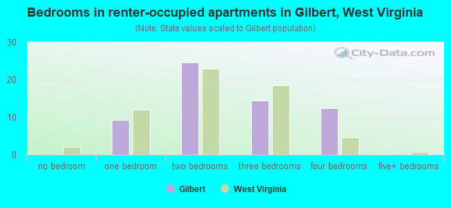 Bedrooms in renter-occupied apartments in Gilbert, West Virginia