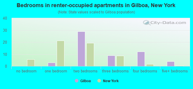 Bedrooms in renter-occupied apartments in Gilboa, New York
