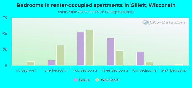 Bedrooms in renter-occupied apartments in Gillett, Wisconsin