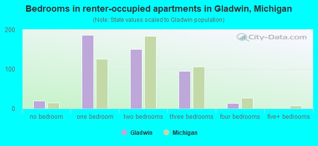 Bedrooms in renter-occupied apartments in Gladwin, Michigan