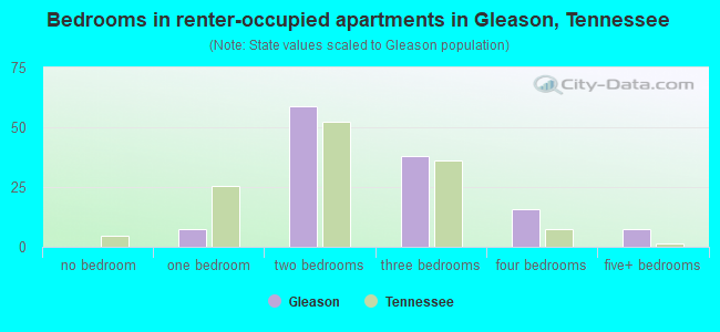 Bedrooms in renter-occupied apartments in Gleason, Tennessee