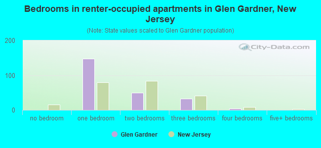 Bedrooms in renter-occupied apartments in Glen Gardner, New Jersey