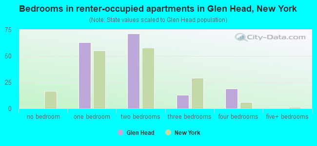 Bedrooms in renter-occupied apartments in Glen Head, New York