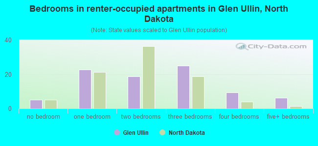 Bedrooms in renter-occupied apartments in Glen Ullin, North Dakota