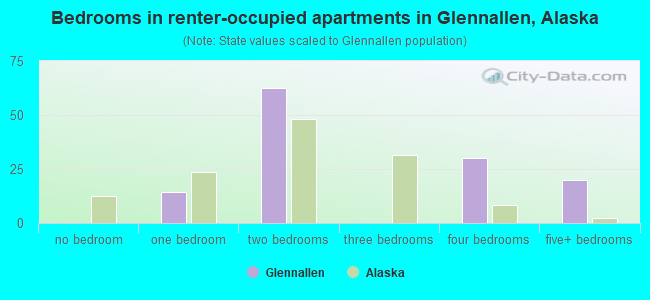 Bedrooms in renter-occupied apartments in Glennallen, Alaska