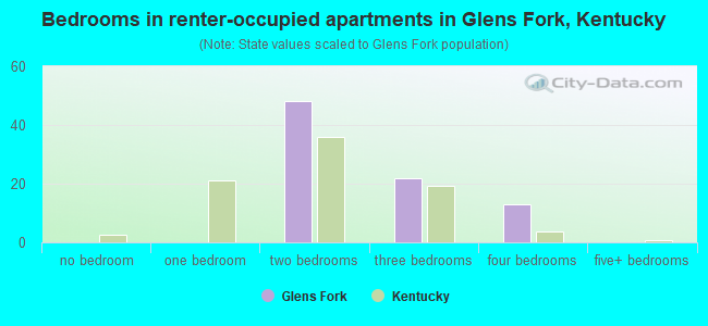 Bedrooms in renter-occupied apartments in Glens Fork, Kentucky
