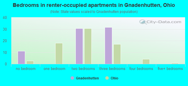 Bedrooms in renter-occupied apartments in Gnadenhutten, Ohio