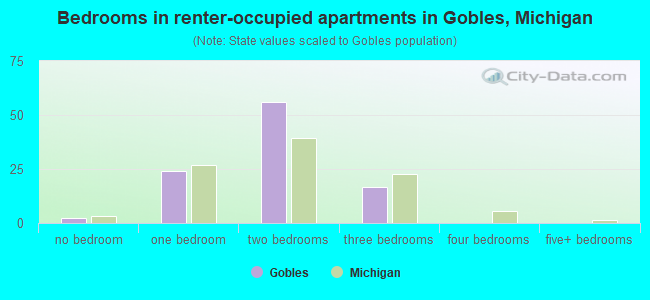 Bedrooms in renter-occupied apartments in Gobles, Michigan