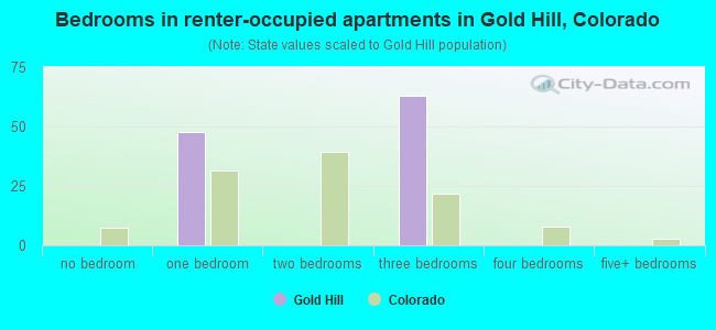Bedrooms in renter-occupied apartments in Gold Hill, Colorado