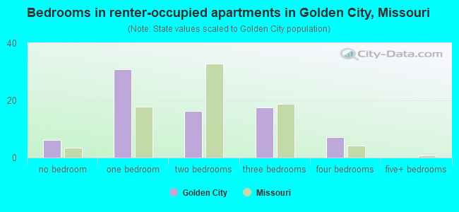 Bedrooms in renter-occupied apartments in Golden City, Missouri