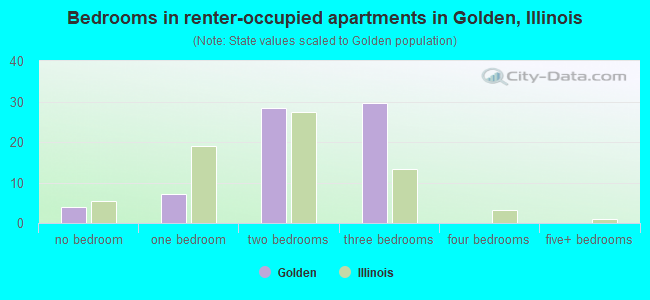 Bedrooms in renter-occupied apartments in Golden, Illinois