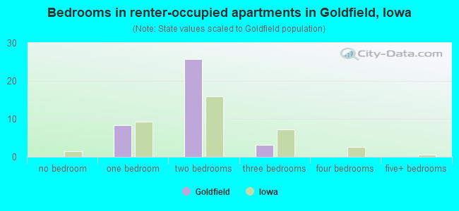 Bedrooms in renter-occupied apartments in Goldfield, Iowa