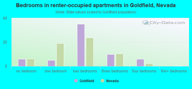 Bedrooms in renter-occupied apartments in Goldfield, Nevada