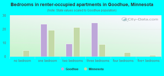 Bedrooms in renter-occupied apartments in Goodhue, Minnesota