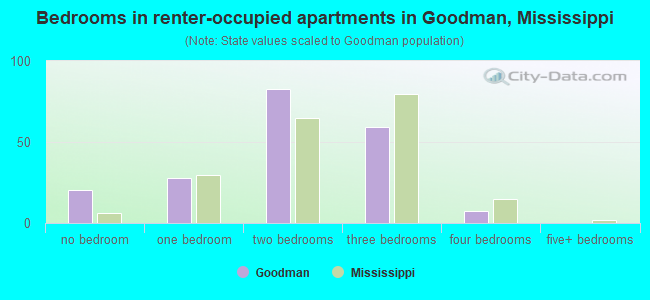 Bedrooms in renter-occupied apartments in Goodman, Mississippi