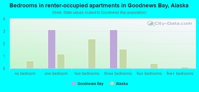 Bedrooms in renter-occupied apartments in Goodnews Bay, Alaska