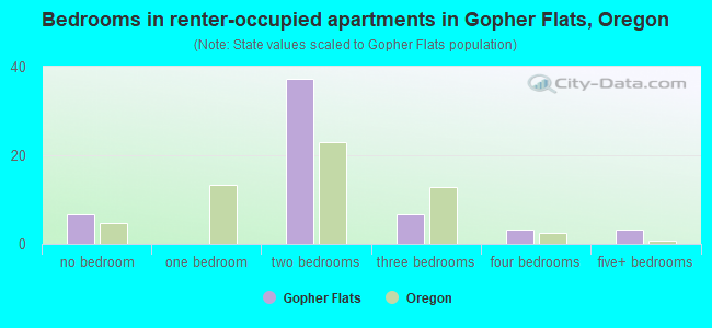 Bedrooms in renter-occupied apartments in Gopher Flats, Oregon