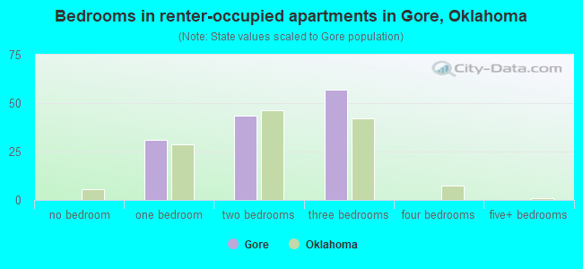 Bedrooms in renter-occupied apartments in Gore, Oklahoma