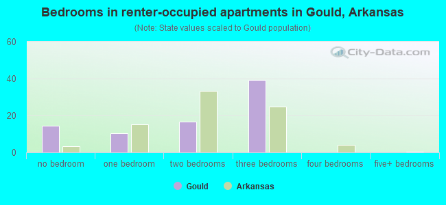 Bedrooms in renter-occupied apartments in Gould, Arkansas