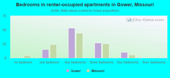 Bedrooms in renter-occupied apartments in Gower, Missouri