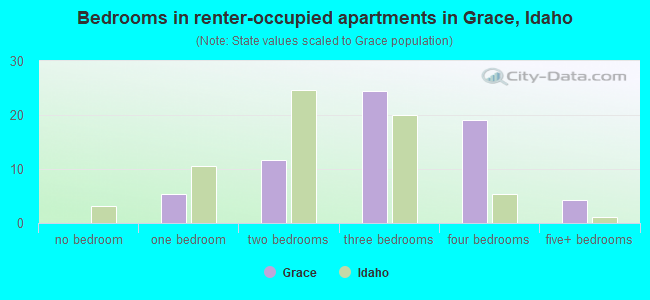 Bedrooms in renter-occupied apartments in Grace, Idaho