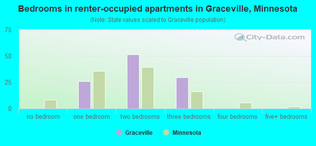 Bedrooms in renter-occupied apartments in Graceville, Minnesota