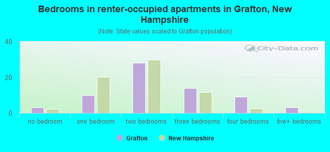 Bedrooms in renter-occupied apartments in Grafton, New Hampshire
