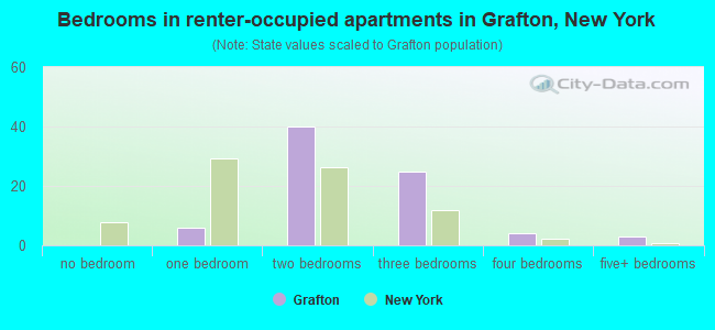 Bedrooms in renter-occupied apartments in Grafton, New York