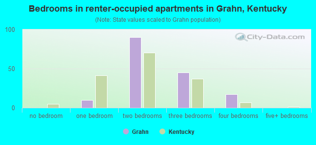 Bedrooms in renter-occupied apartments in Grahn, Kentucky