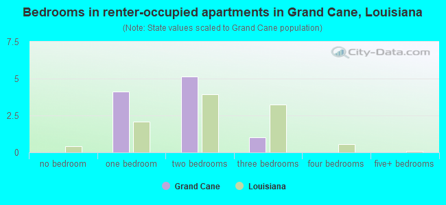 Bedrooms in renter-occupied apartments in Grand Cane, Louisiana