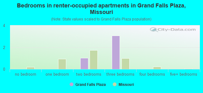 Bedrooms in renter-occupied apartments in Grand Falls Plaza, Missouri