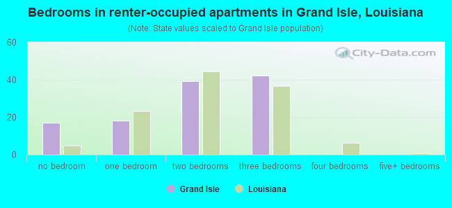 Bedrooms in renter-occupied apartments in Grand Isle, Louisiana