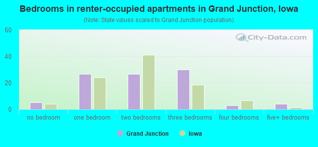 Bedrooms in renter-occupied apartments in Grand Junction, Iowa