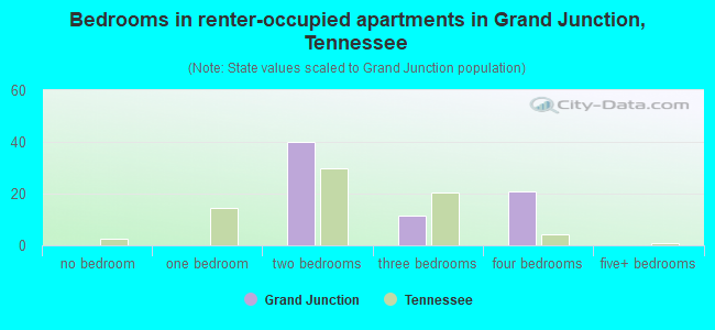 Bedrooms in renter-occupied apartments in Grand Junction, Tennessee