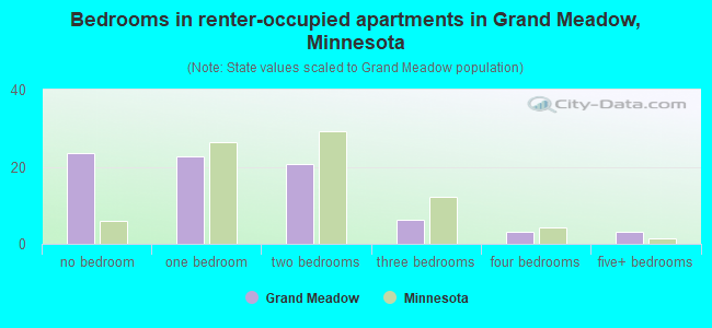 Bedrooms in renter-occupied apartments in Grand Meadow, Minnesota