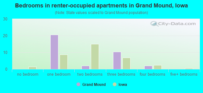 Bedrooms in renter-occupied apartments in Grand Mound, Iowa