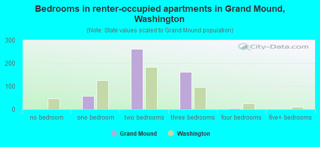 Bedrooms in renter-occupied apartments in Grand Mound, Washington