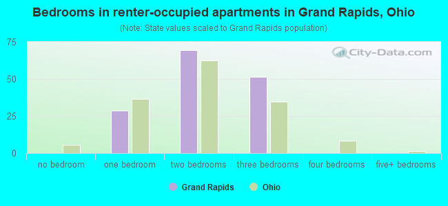 Bedrooms in renter-occupied apartments in Grand Rapids, Ohio