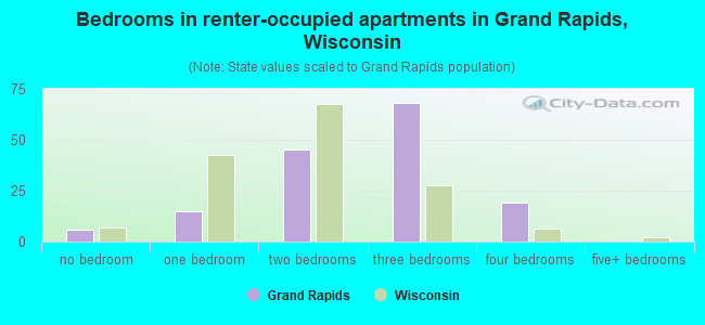 Bedrooms in renter-occupied apartments in Grand Rapids, Wisconsin