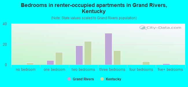 Bedrooms in renter-occupied apartments in Grand Rivers, Kentucky