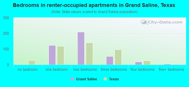 Bedrooms in renter-occupied apartments in Grand Saline, Texas