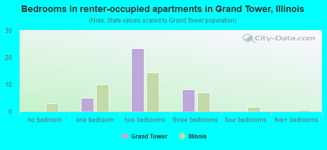 Bedrooms in renter-occupied apartments in Grand Tower, Illinois