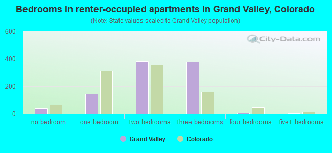 Bedrooms in renter-occupied apartments in Grand Valley, Colorado