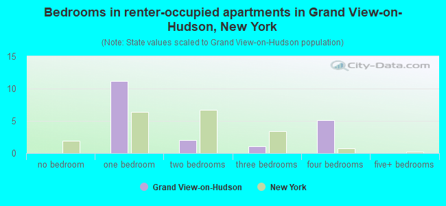 Bedrooms in renter-occupied apartments in Grand View-on-Hudson, New York