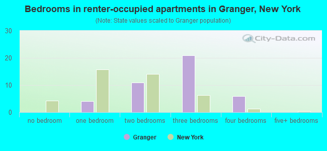 Bedrooms in renter-occupied apartments in Granger, New York