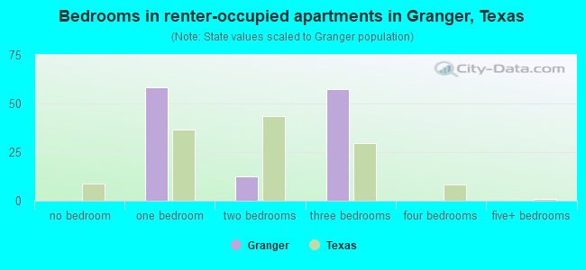 Bedrooms in renter-occupied apartments in Granger, Texas